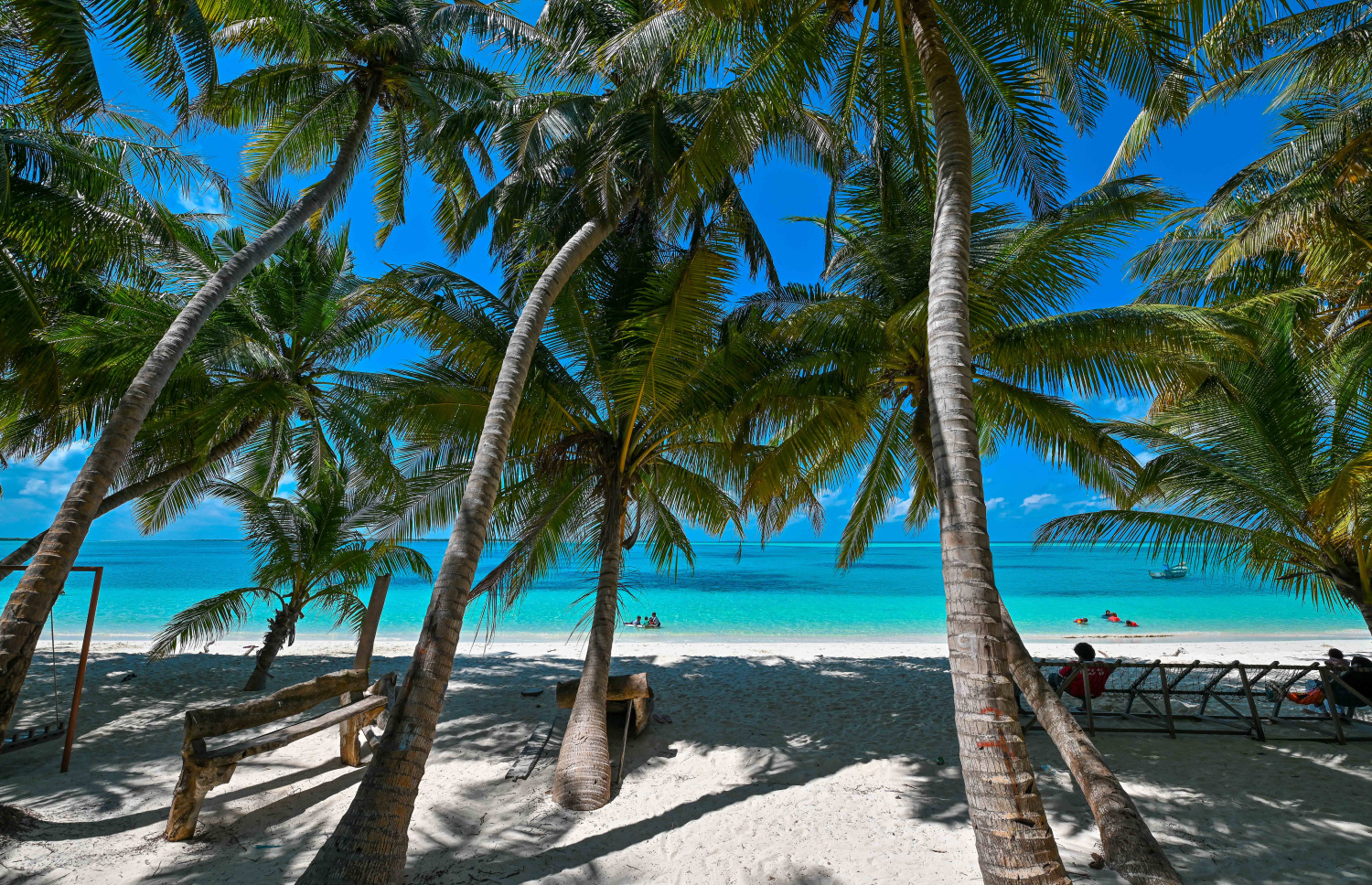 Infertility Genetic Testing